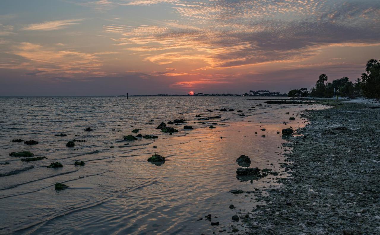 Sunset Paradise - Find Yourself In Tampa Exterior photo