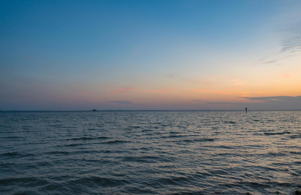 Sunset Paradise - Find Yourself In Tampa Exterior photo